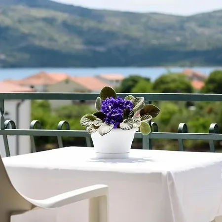 In With Sea View, Balcony, Air Conditioning, Wifi 5142-3 Appartamento Seget Vranjica